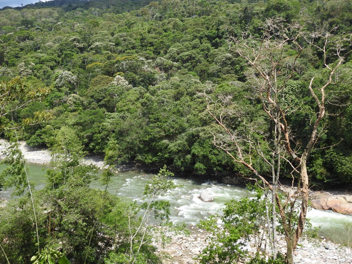 Posada Turistica Dantayaco Mocoa Dış mekan fotoğraf